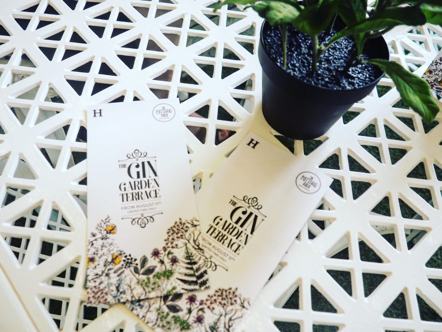 Hendricks-Gin-Garden-Bingley