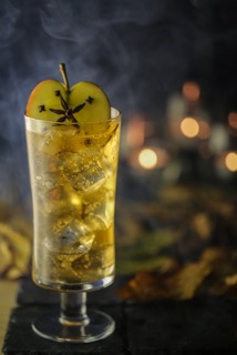 caorunn-winter-spices-gt