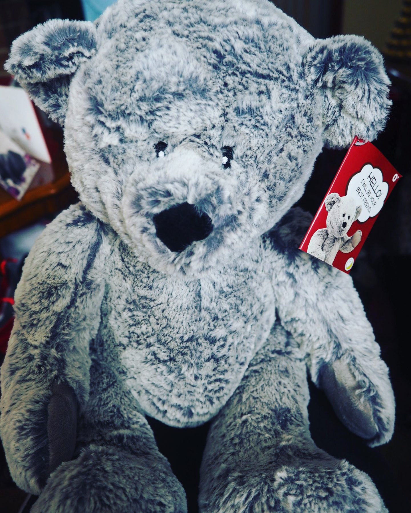 Teddy-Christmas