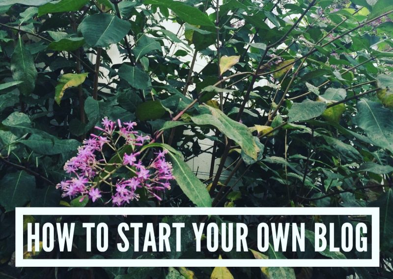 How To Start Your Own Blog