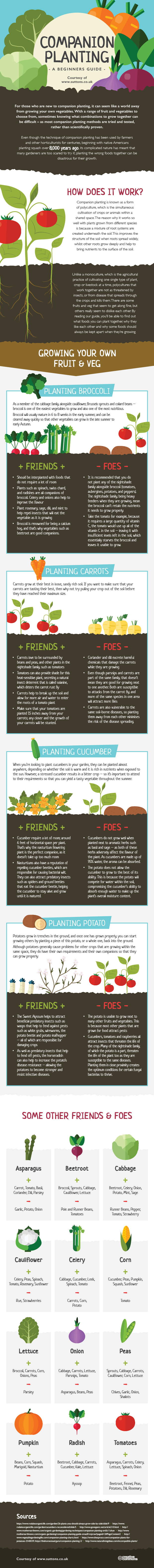 Companion-Planting-Infographic-Suttons