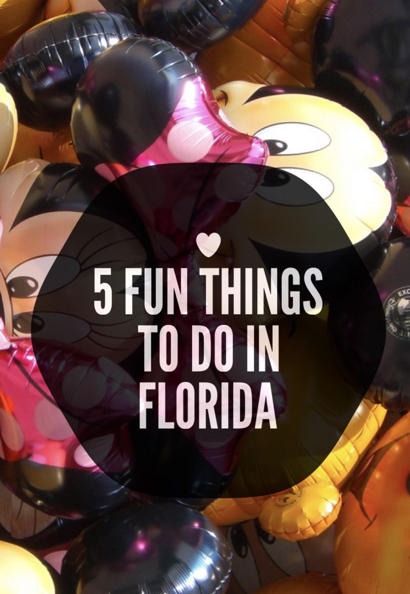 5 Fun Things To Do In Florida