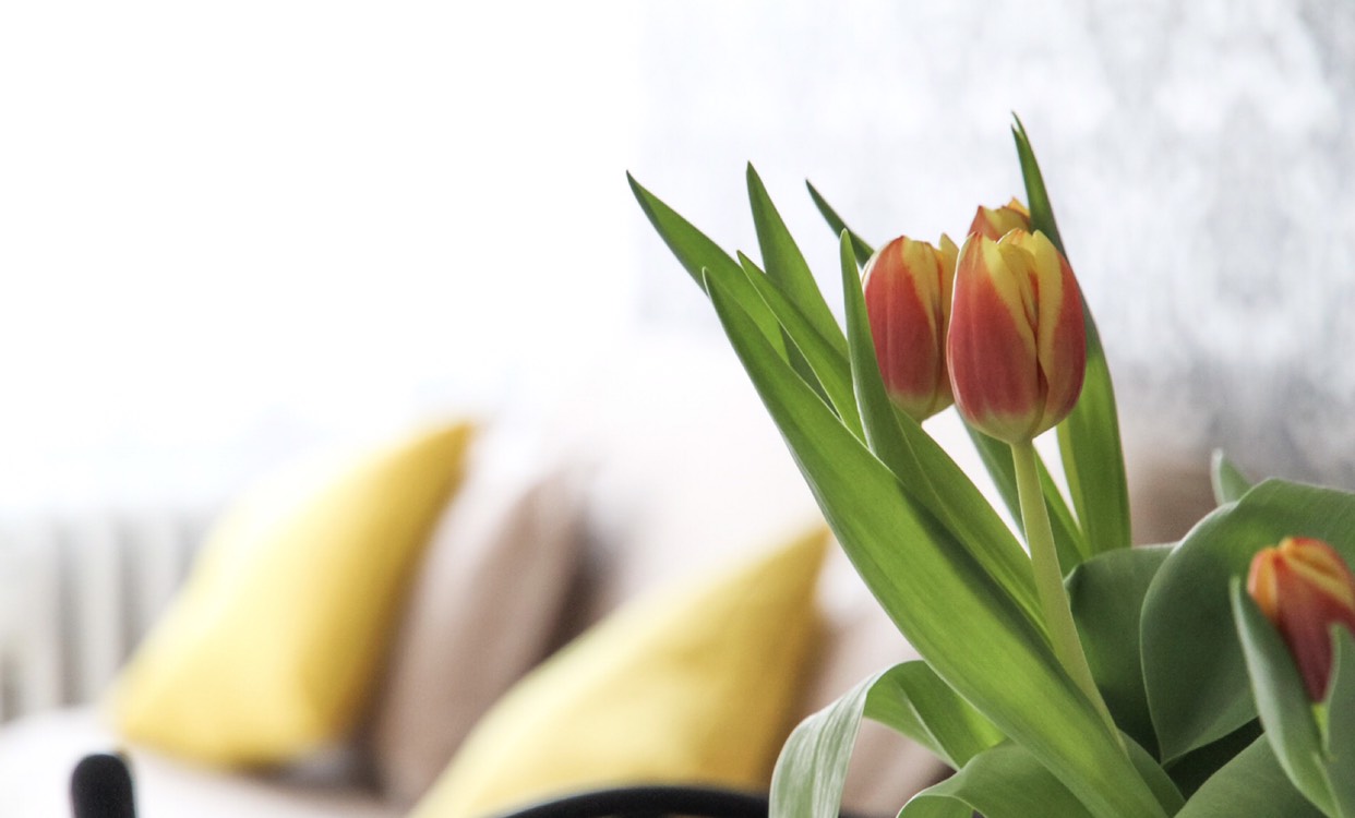 Helping House-Bound Family Members To Keep Themselves Comfortable