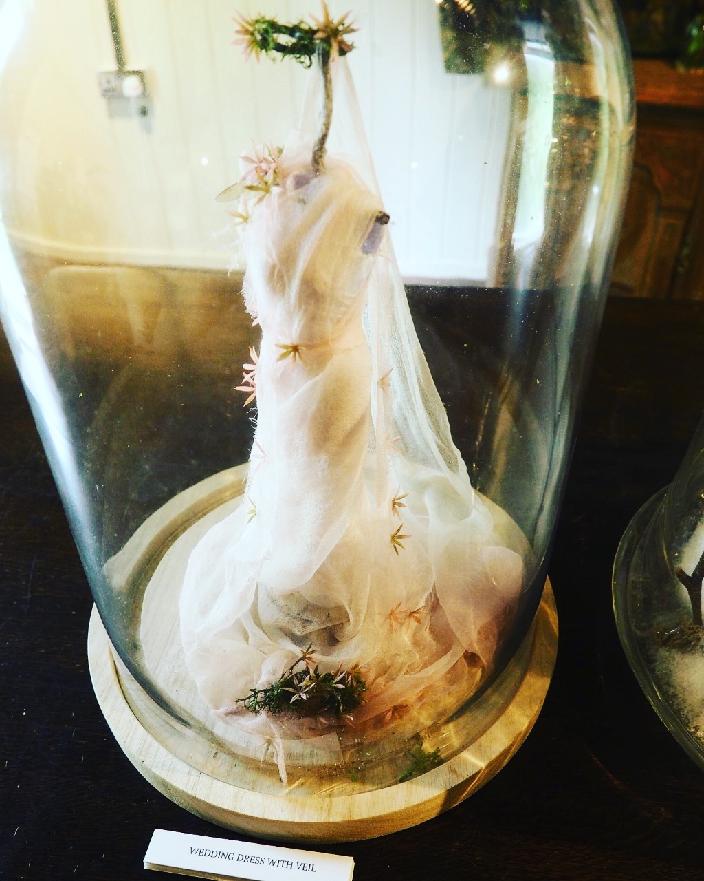 Northwood-Trail-Fairy-Wedding-Dress