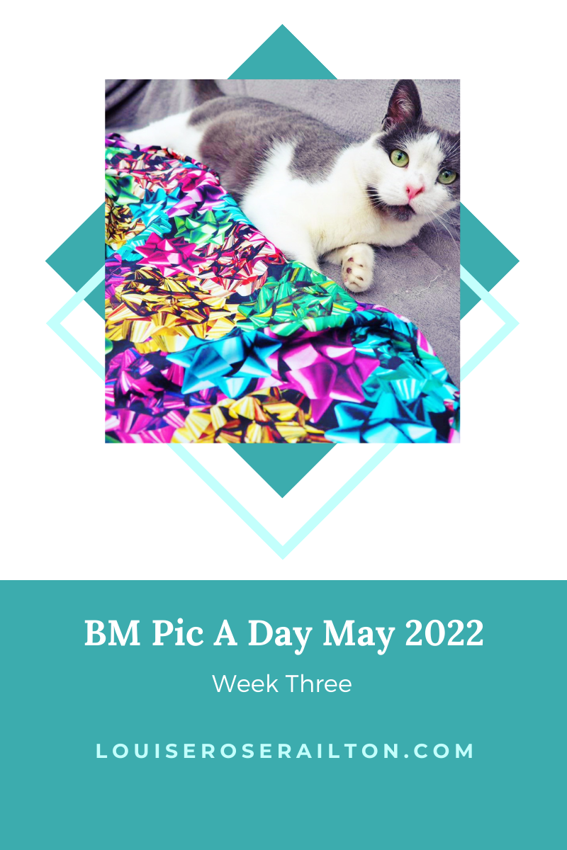 Black Milk Clothing: BM Pic A Day May 2022 – Week Three
