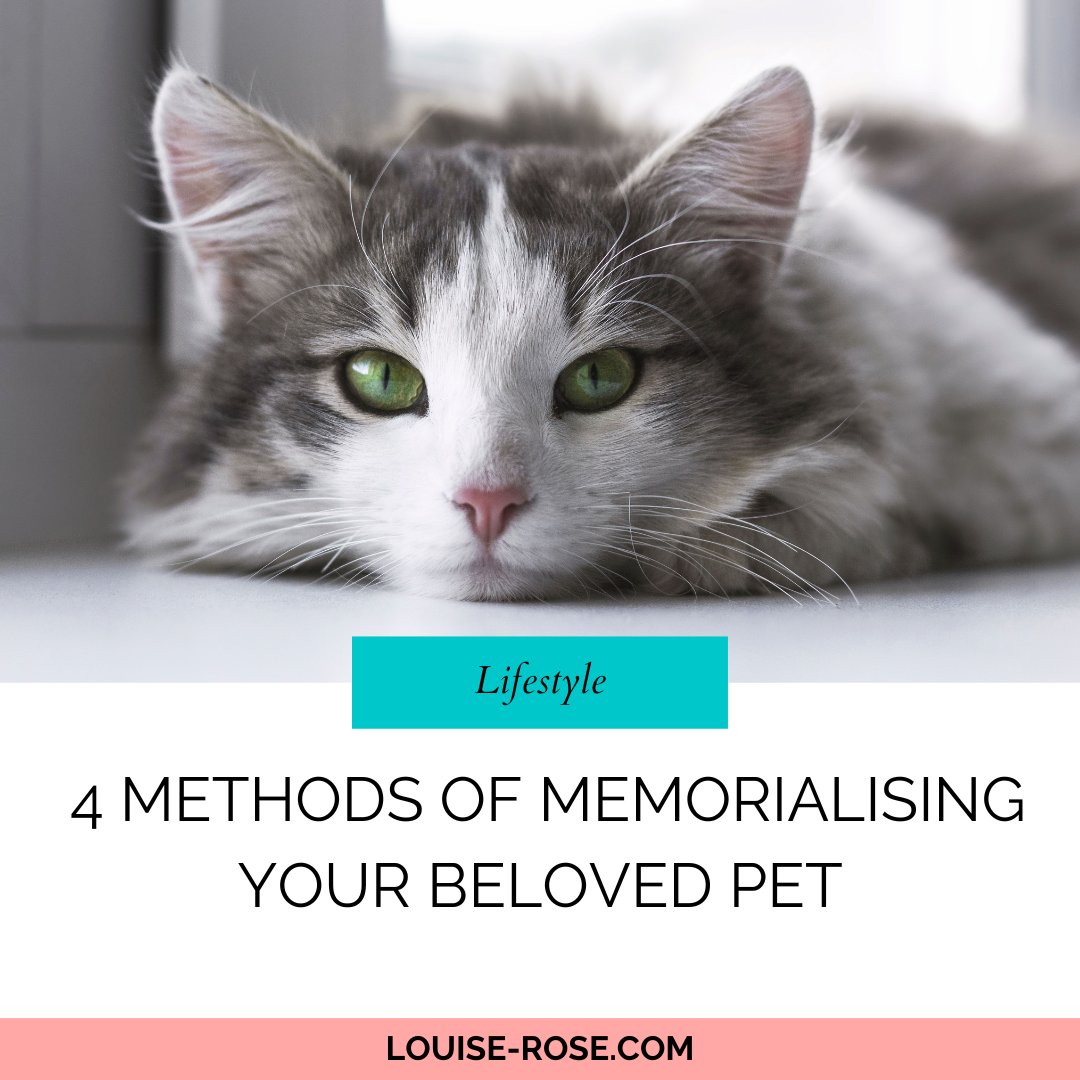 Photo is of a grey and white cat which is laying, looking at the camera. The text reads, 4 Methods Of Memorialising Your Beloved Pet. Louise-Rose.com