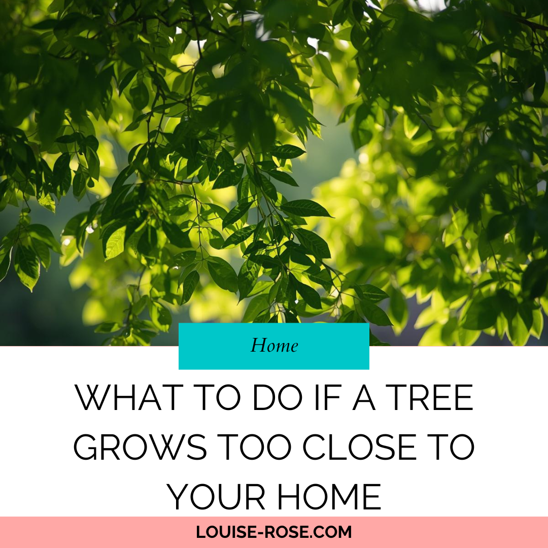 What To Do If A Tree Grows Too Close To Your Home