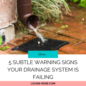 5 Subtle Warning Signs Your Drainage System Is Failing