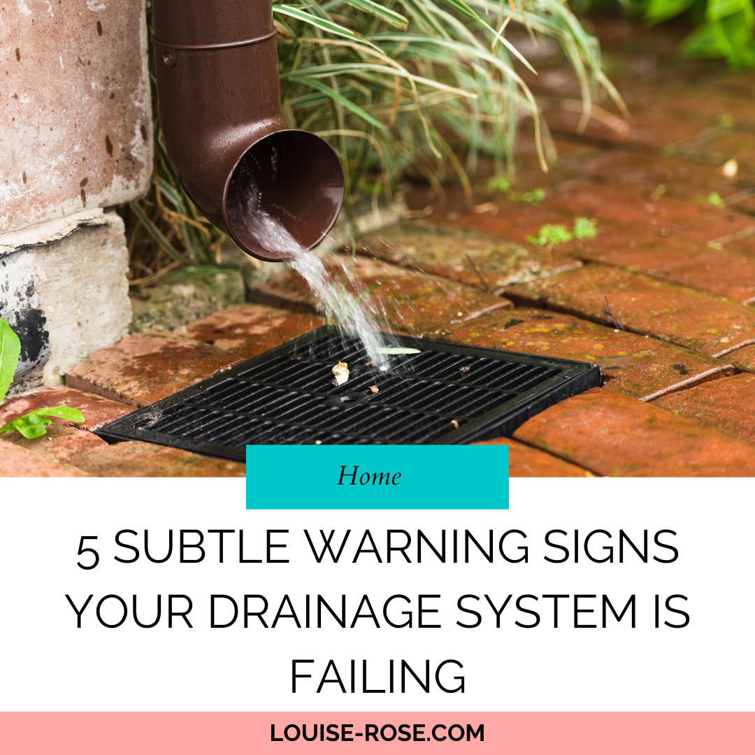 5 Subtle Warning Signs Your Drainage System Is Failing